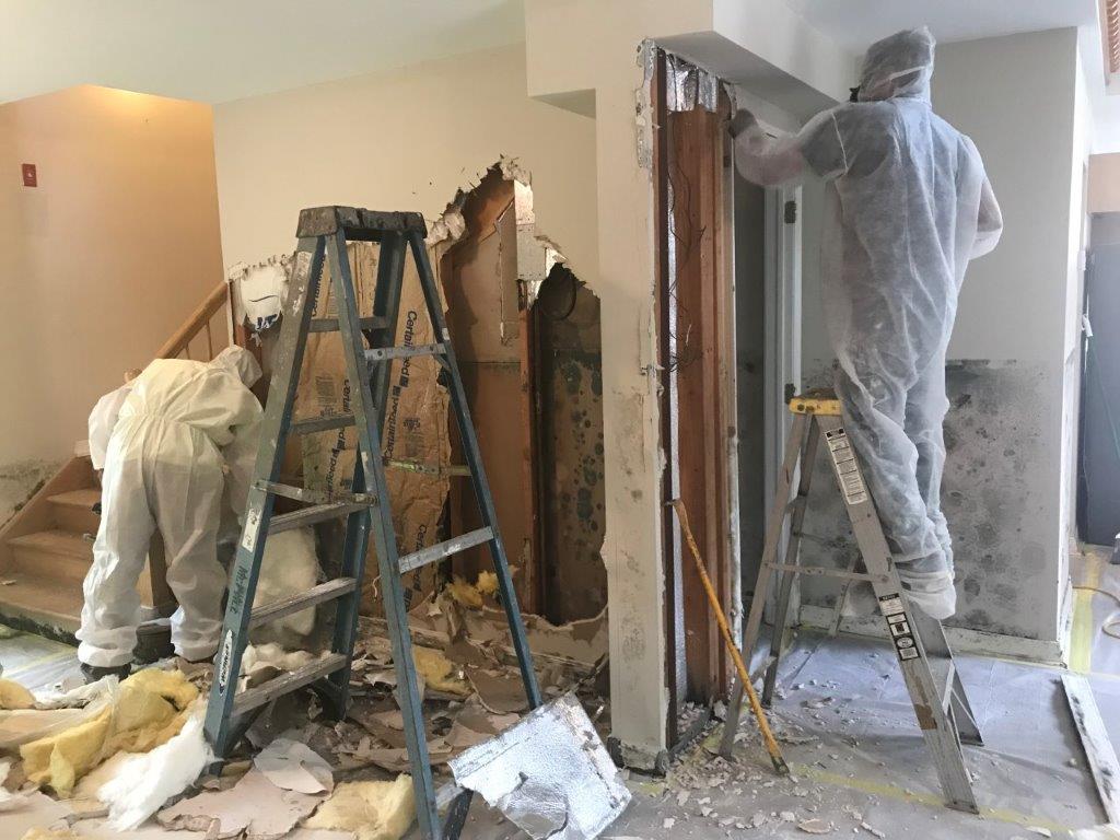 Workers removing mold from interior walls